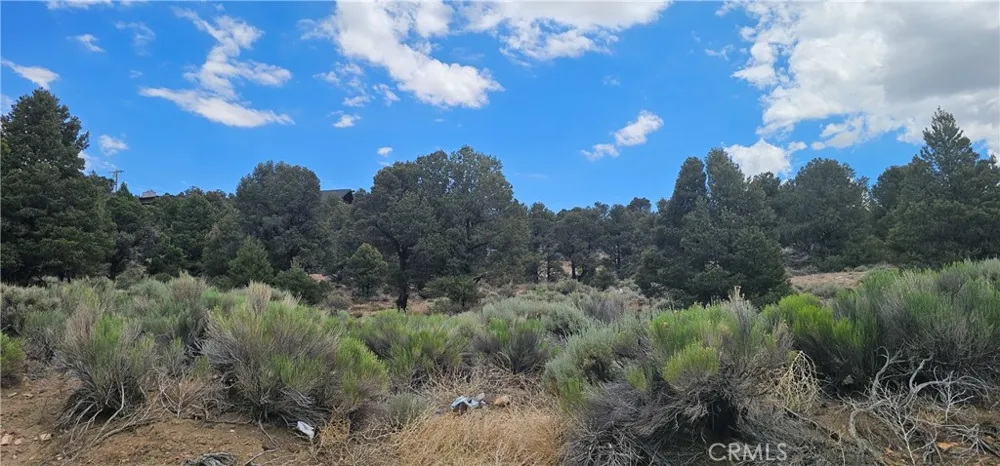 Baldwin Lake Road Big Bear City, CA 92314