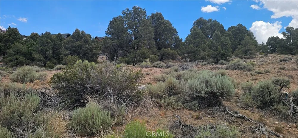 Baldwin Lake Road Big Bear City, CA 92314