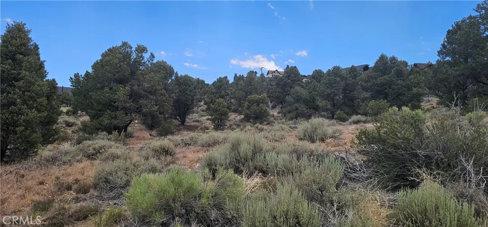 Baldwin Lake Road Big Bear City, CA 92314