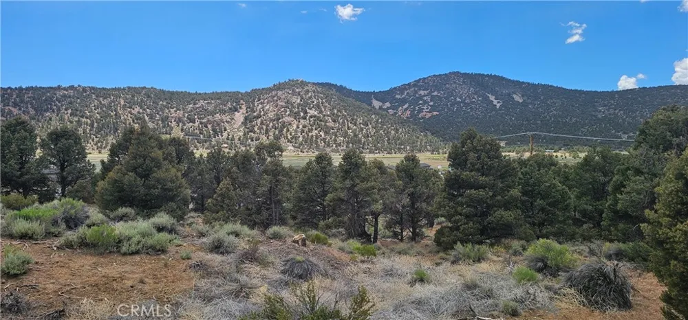 Baldwin Lake Road Big Bear City, CA 92314