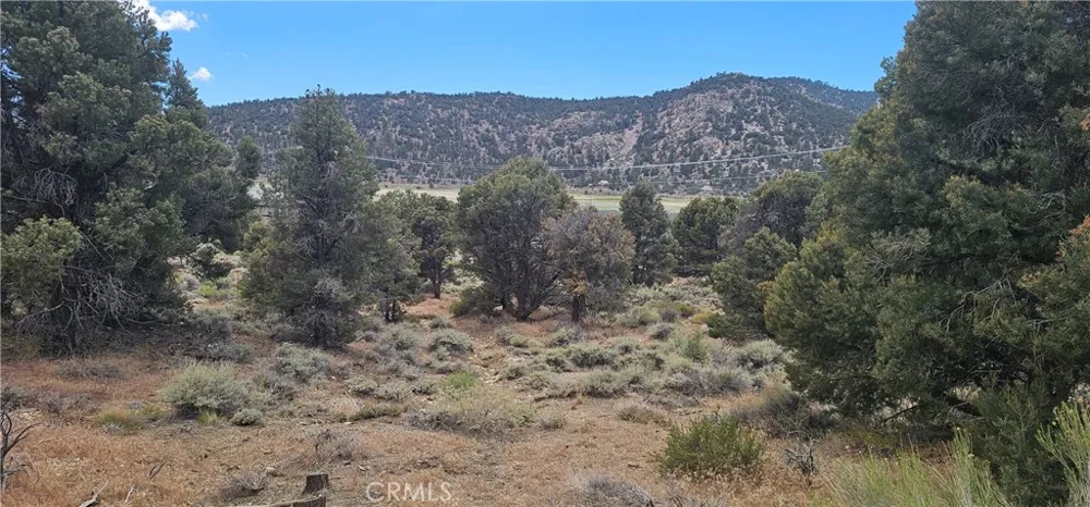 Baldwin Lake Road Big Bear City, CA 92314