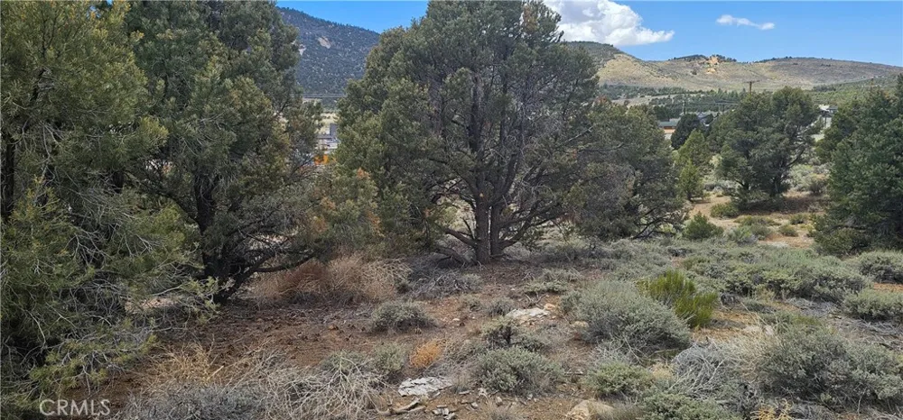 Baldwin Lake Road Big Bear City, CA 92314