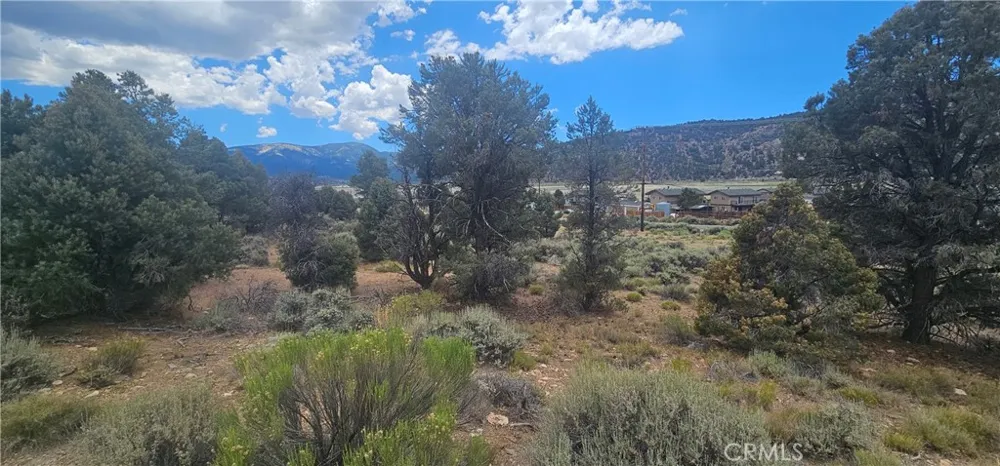Baldwin Lake Road Big Bear City, CA 92314