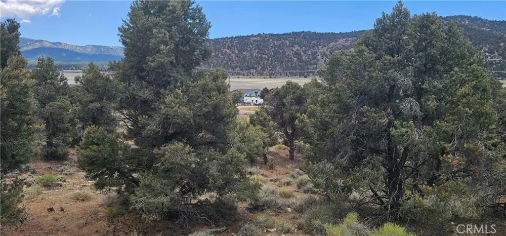 Baldwin Lake Road Big Bear City, CA 92314