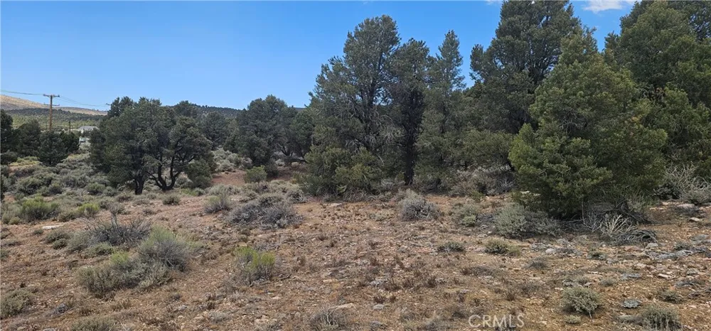 Baldwin Lake Road Big Bear City, CA 92314