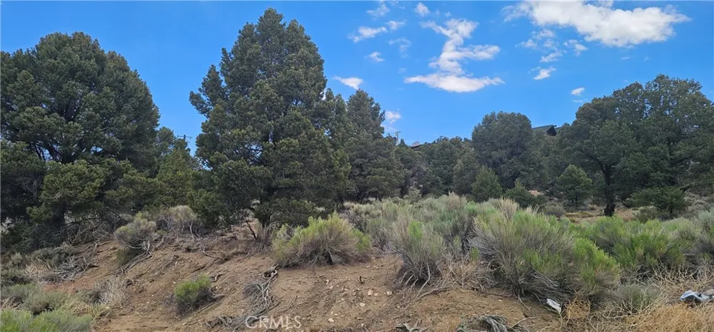 Baldwin Lake Road Big Bear City, CA 92314