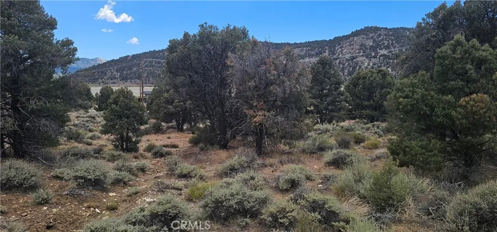 Baldwin Lake Road Big Bear City, CA 92314