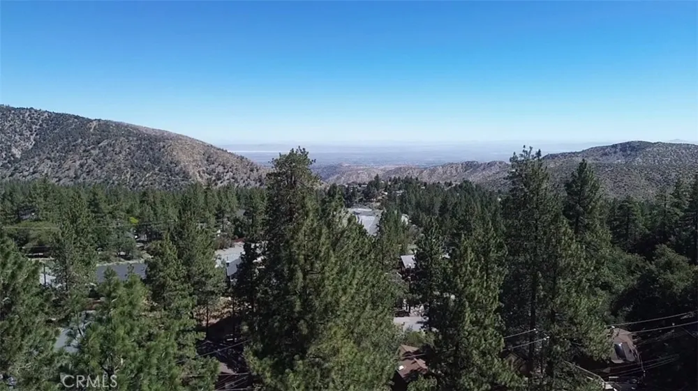 2057 Mojave Scenic Wrightwood, CA 92397