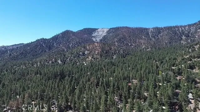 2057 Mojave Scenic Wrightwood, CA 92397