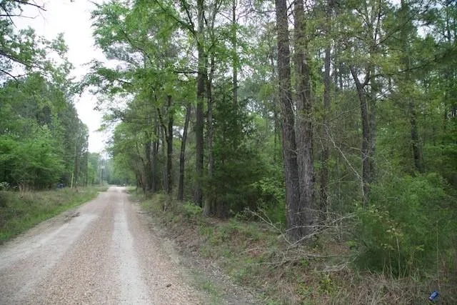 258 Hearne Road Corrigan, TX 75939