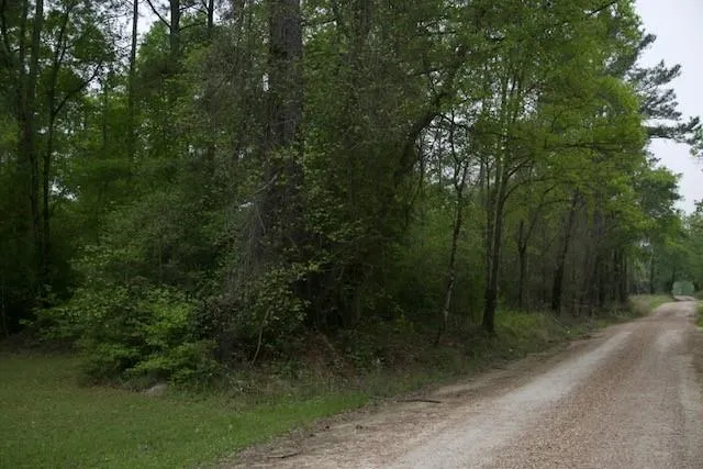 258 Hearne Road Corrigan, TX 75939