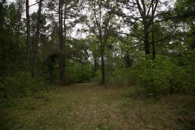 258 Hearne Road Corrigan, TX 75939