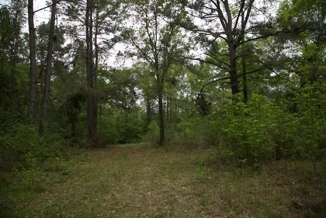 258 Hearne Road Corrigan, TX 75939