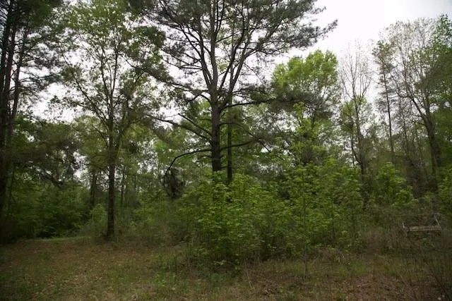 258 Hearne Road Corrigan, TX 75939
