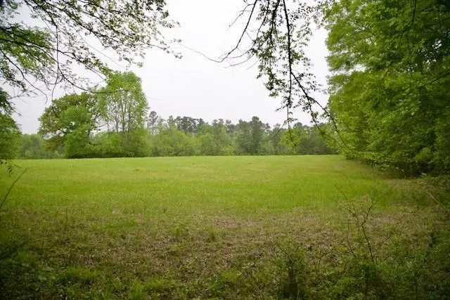 195 Hearne Road Corrigan, TX 75939
