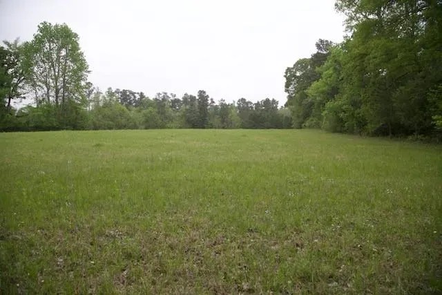 195 Hearne Road Corrigan, TX 75939