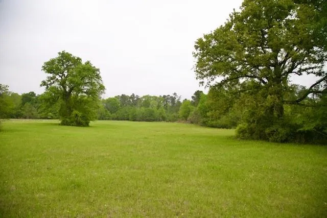 195 Hearne Road Corrigan, TX 75939