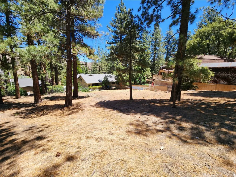 Timberline Drive Wrightwood, CA 92397