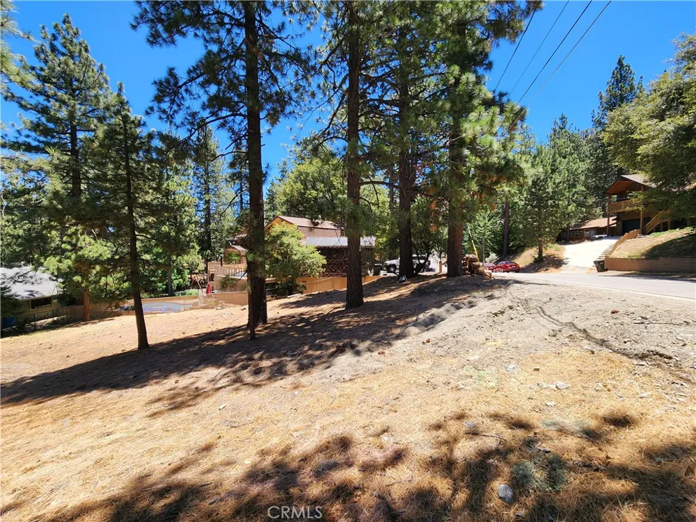 Timberline Drive Wrightwood, CA 92397