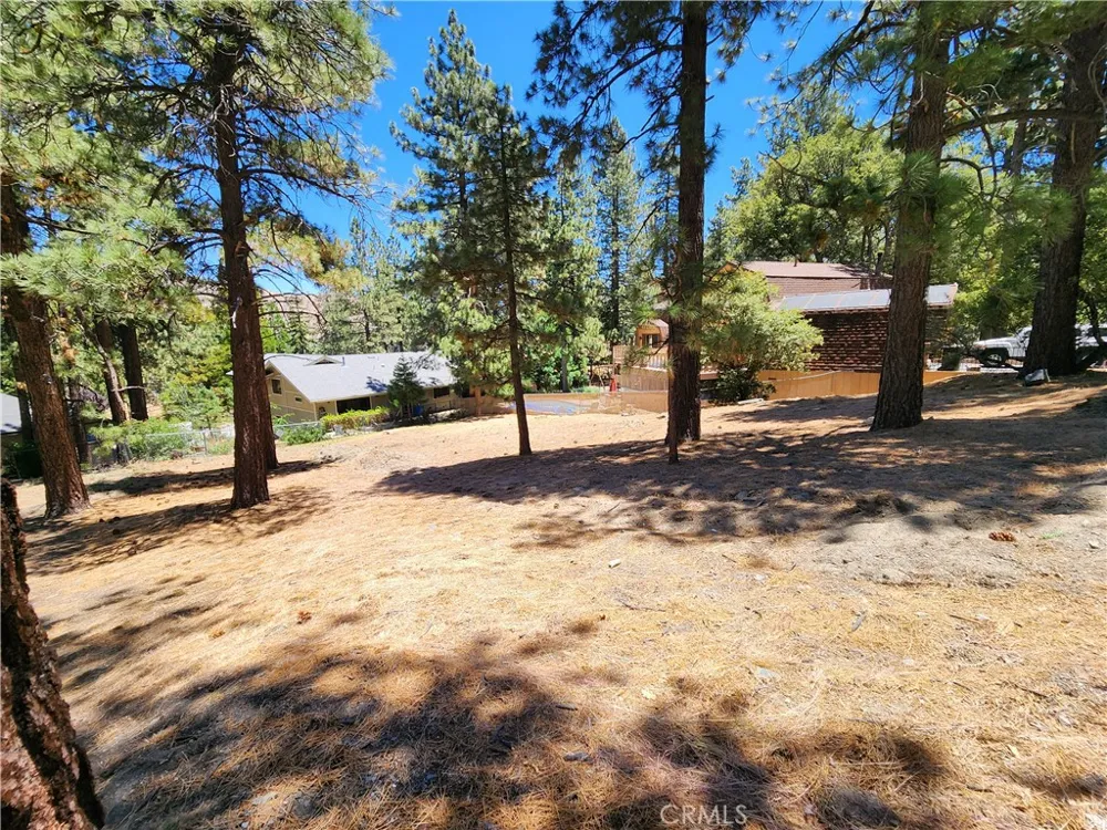 Timberline Drive Wrightwood, CA 92397
