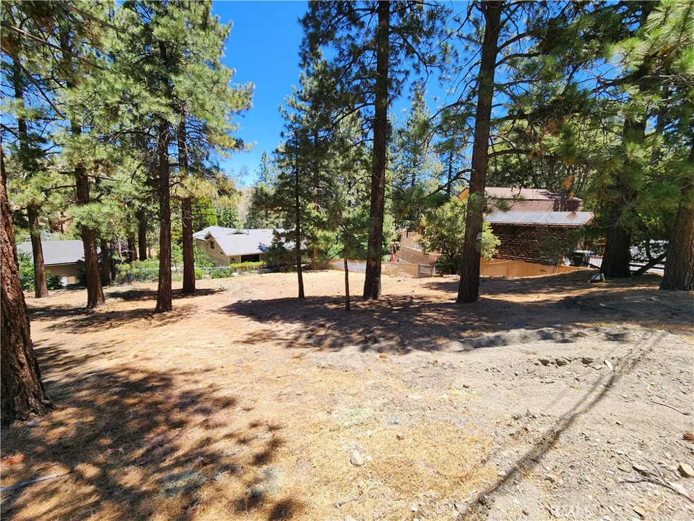 Timberline Drive Wrightwood, CA 92397