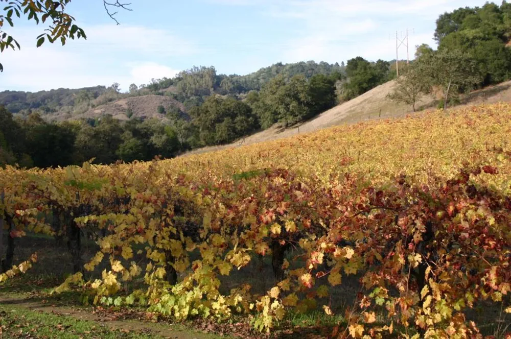 6790 Redwood Retreat Road Gilroy, CA 95020