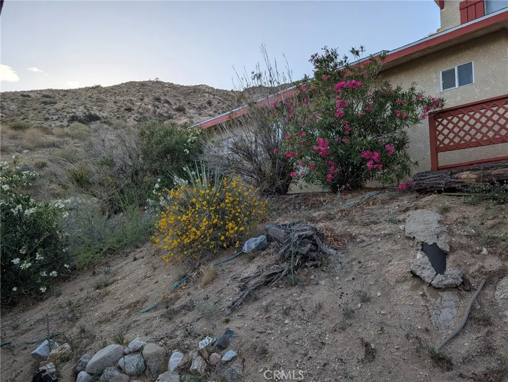 49324 Whiteside Morongo Valley, CA 92256