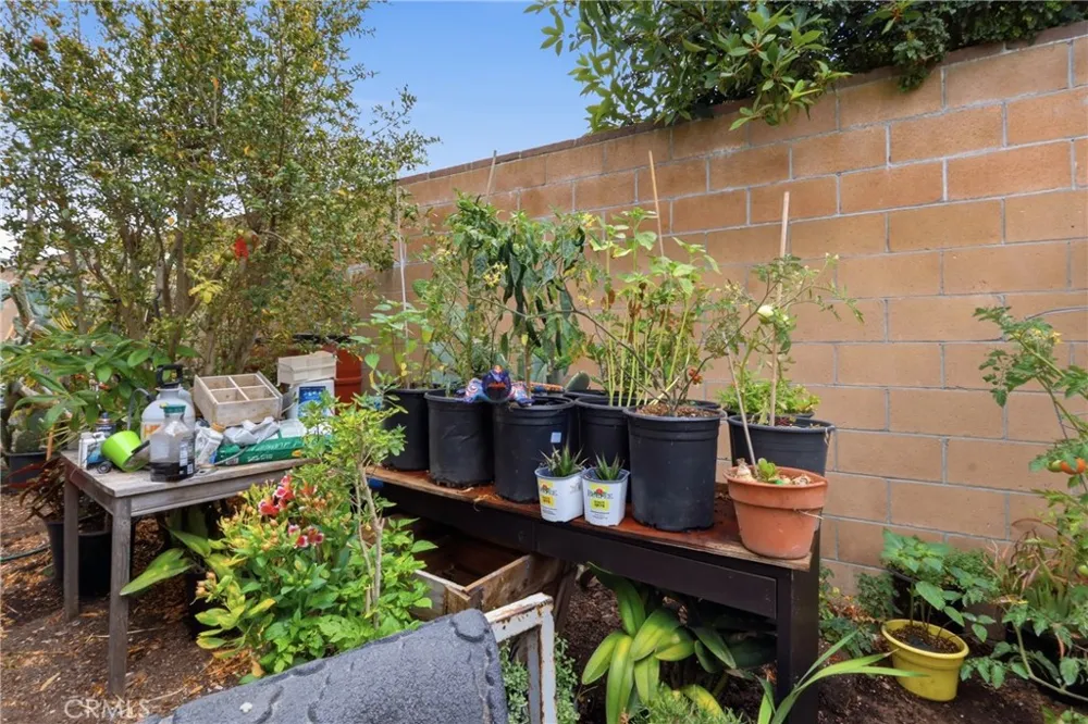 2311 Vanderbilt Ln. Redondo Beach, CA 90278