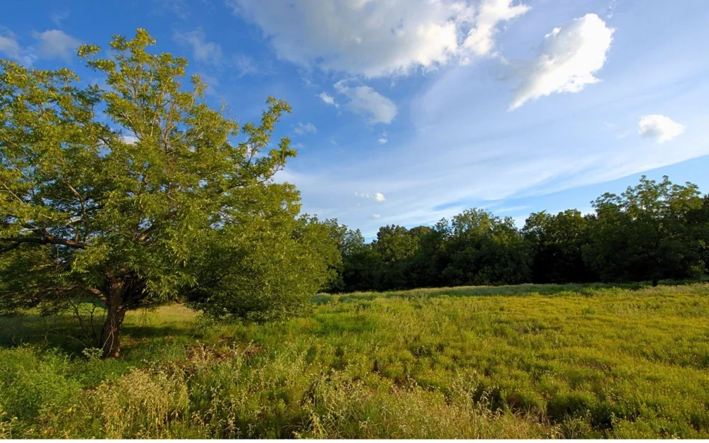 Hudson Farms Road - Tract 2b - 6 Acres Franklin, TX 77859