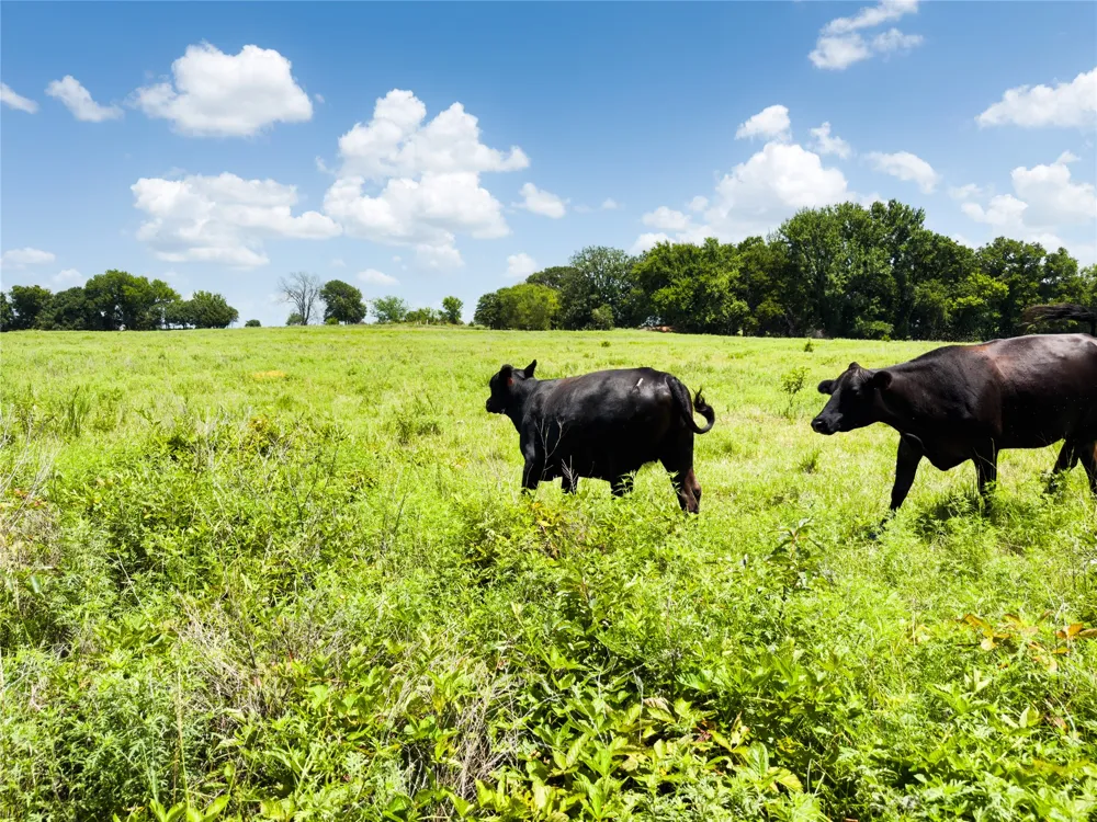 1920 State Highway 59A Stratford, OK 74872