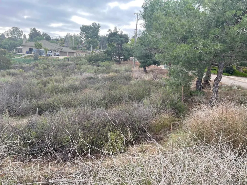 89 Yacoo Ct Jamul, CA 91935
