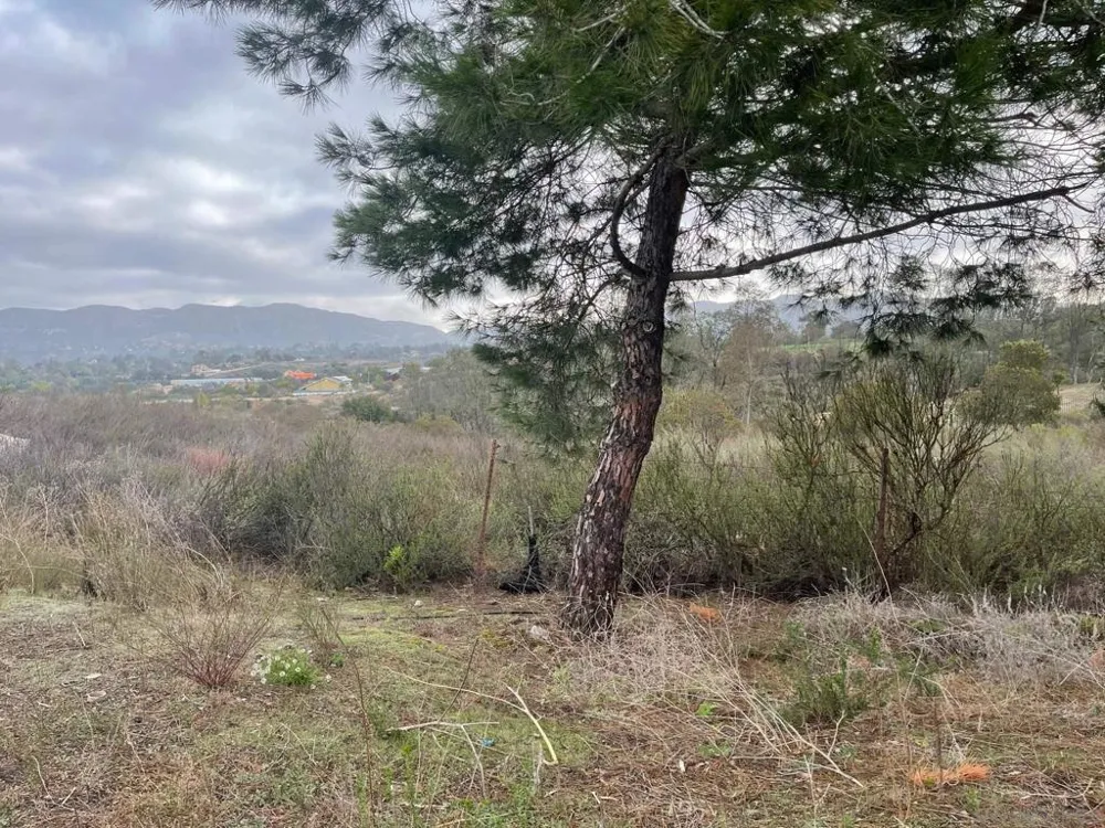 89 Yacoo Ct Jamul, CA 91935