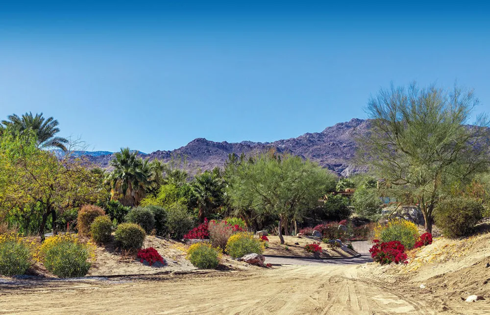 1036 Vale Crest Palm Desert, CA 92260