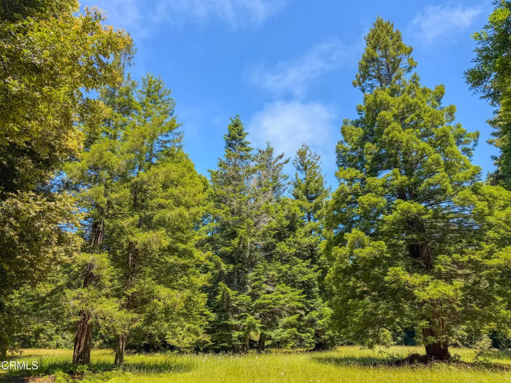 32700 Nameless Lane Fort Bragg, CA 95437
