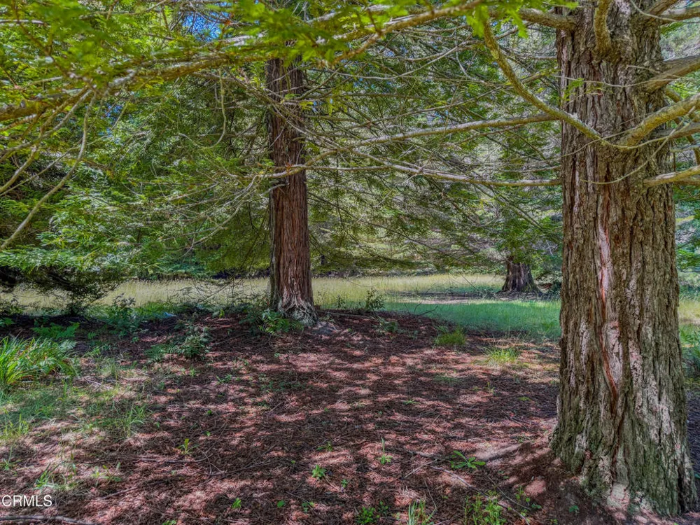 32700 Nameless Lane Fort Bragg, CA 95437