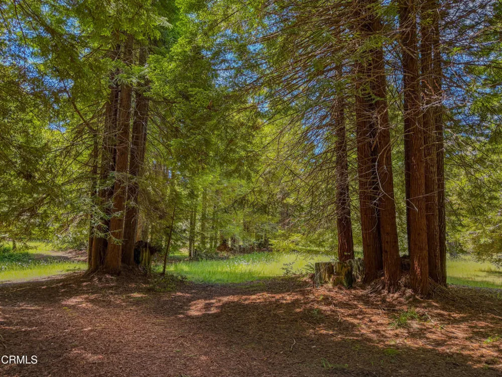 32700 Nameless Lane Fort Bragg, CA 95437