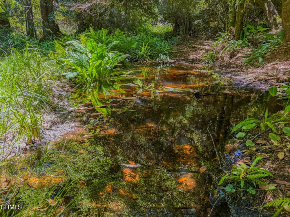 32700 Nameless Lane Fort Bragg, CA 95437