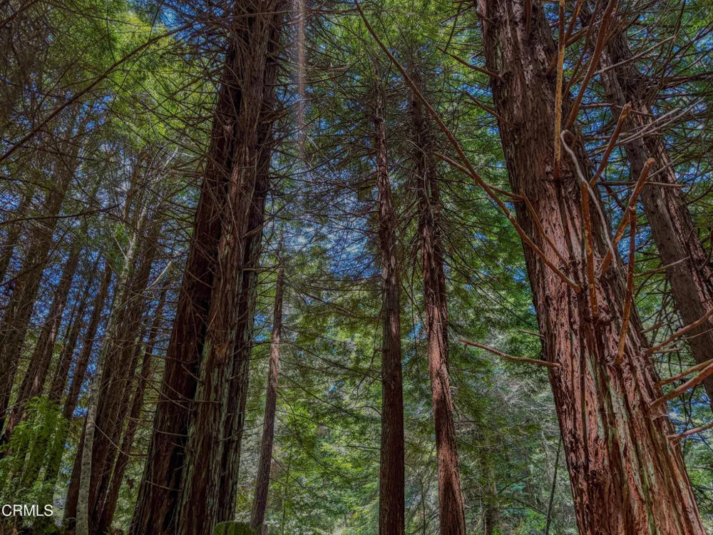 32700 Nameless Lane Fort Bragg, CA 95437