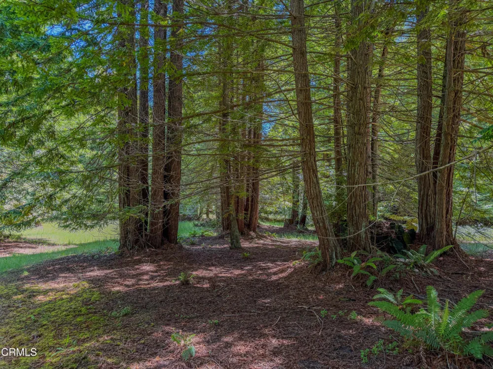 32700 Nameless Lane Fort Bragg, CA 95437