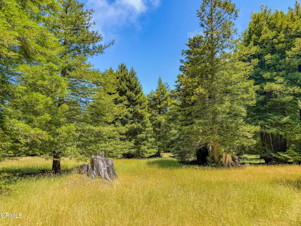 32700 Nameless Lane Fort Bragg, CA 95437