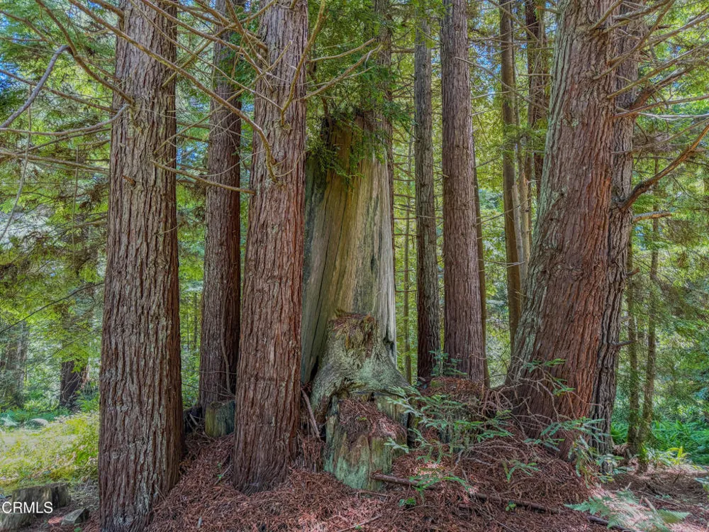 32700 Nameless Lane Fort Bragg, CA 95437