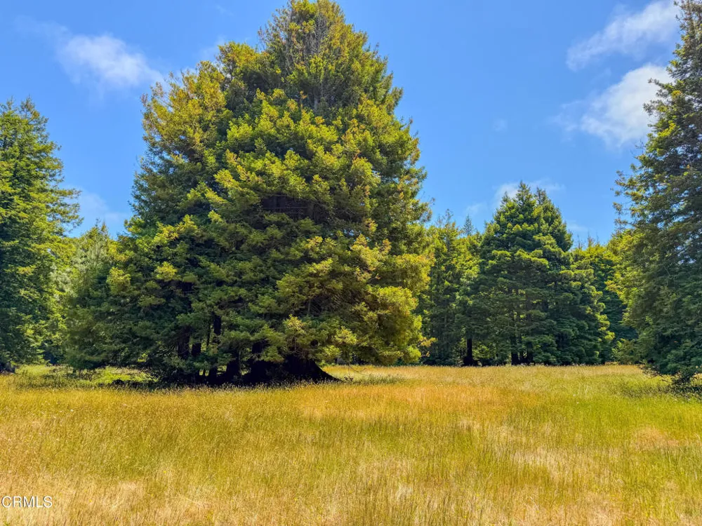 32700 Nameless Lane Fort Bragg, CA 95437
