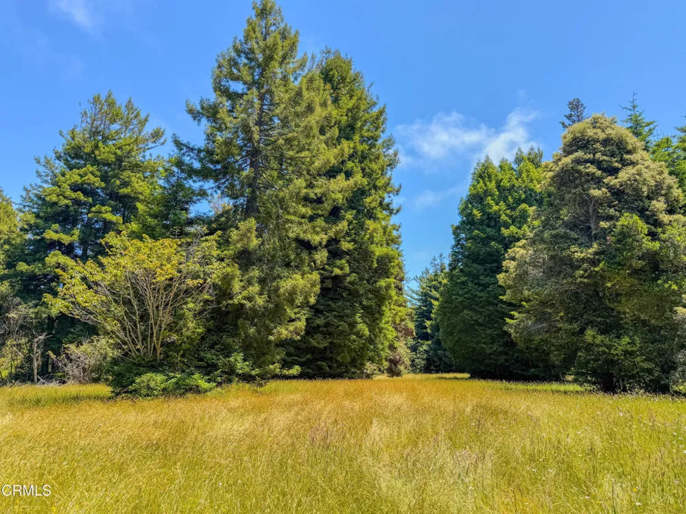 32700 Nameless Lane Fort Bragg, CA 95437
