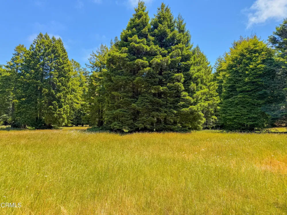 32700 Nameless Lane Fort Bragg, CA 95437