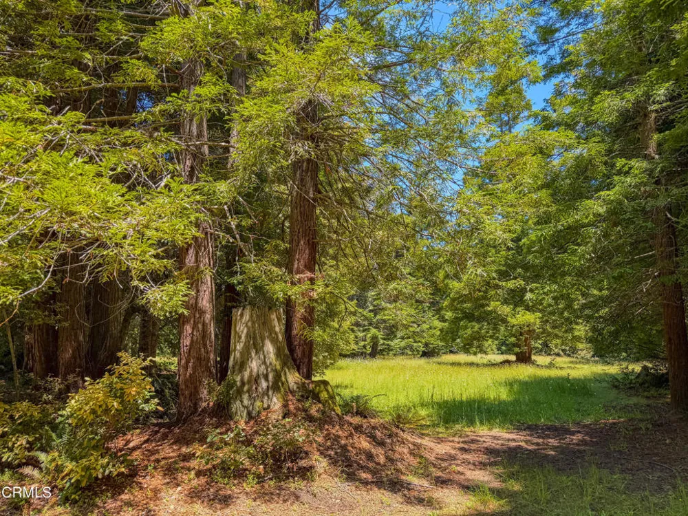 32700 Nameless Lane Fort Bragg, CA 95437