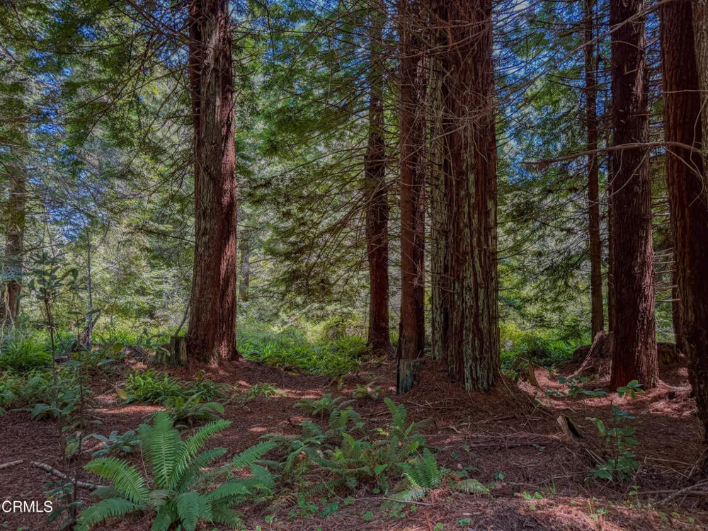 32700 Nameless Lane Fort Bragg, CA 95437