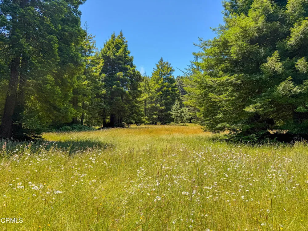 32700 Nameless Lane Fort Bragg, CA 95437