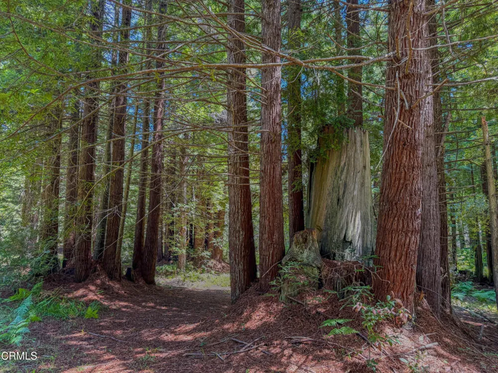 32700 Nameless Lane Fort Bragg, CA 95437