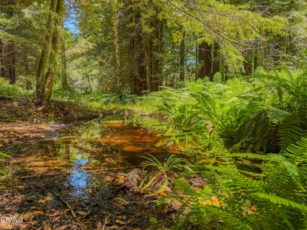 32700 Nameless Lane Fort Bragg, CA 95437