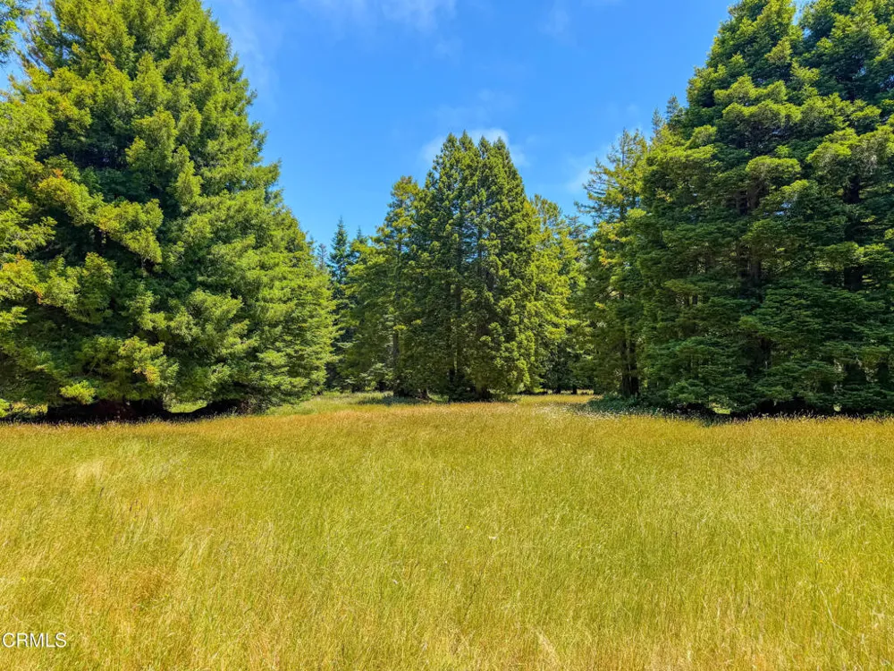 32700 Nameless Lane Fort Bragg, CA 95437